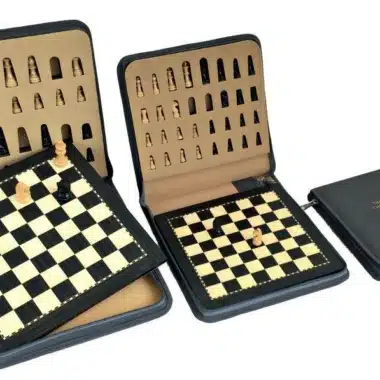 Conjunto Magnético de Viaje con Maletín de Almacenamiento