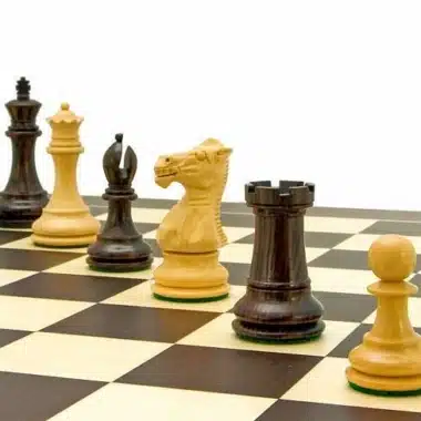 Primer plano de las piezas oscuras y claras: rey, dama, alfil, caballo y torre