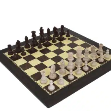 Juego de ajedrez de madera para principiantes con almacenamiento