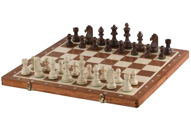 Tablero de Ajedrez de Madera Plegable y Piezas de Ajedrez Staunton de Madera con Almacenamiento