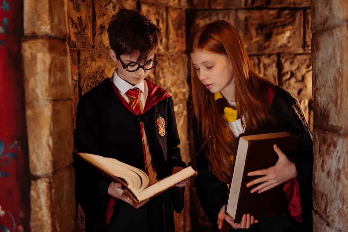 Sorcier Harry potter jeu d'echec